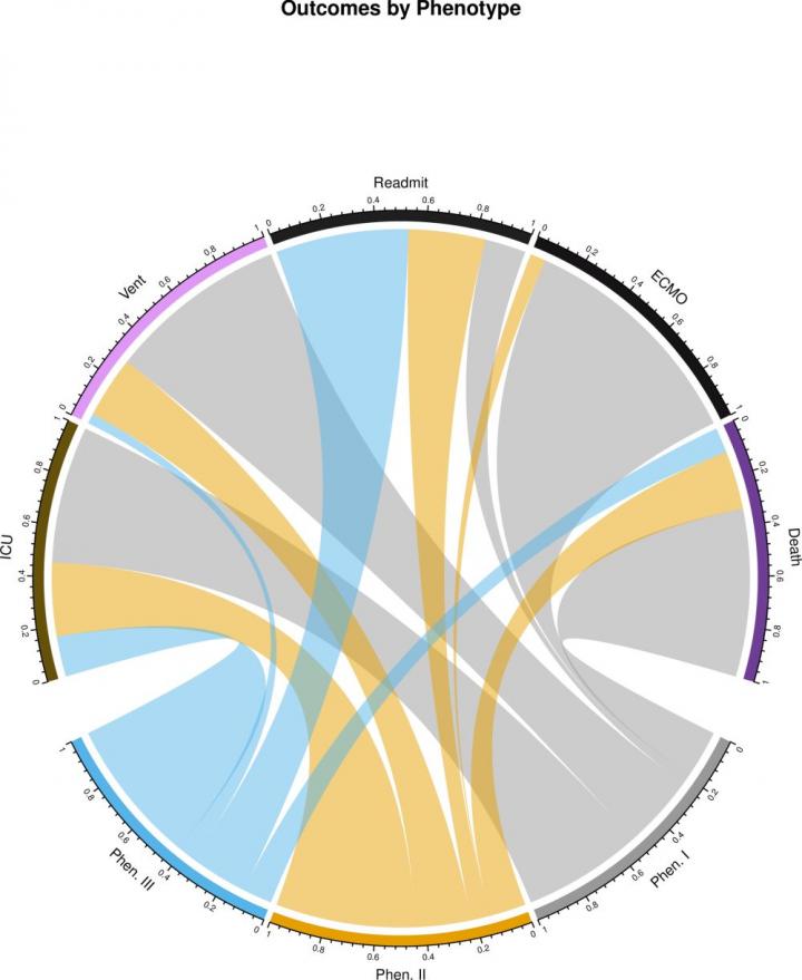 COVID-19 patients can be categorized into three groups