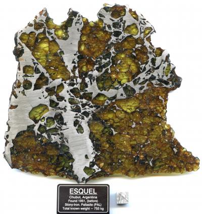 Esquel Meteorite
