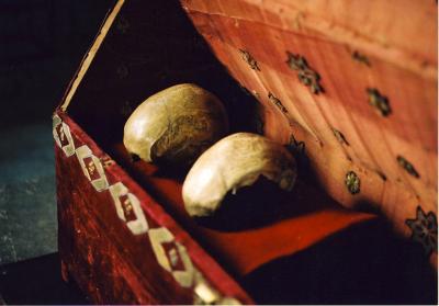 Skull Remains (3 of 3)
