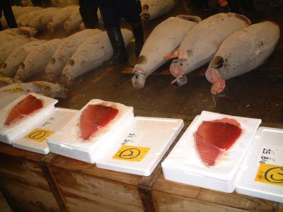 Grading Tuna