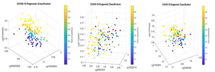 VISUALIZATION OF SITE-SITE RELATIONSHIP AND SITE-RISK PROBABILITIES