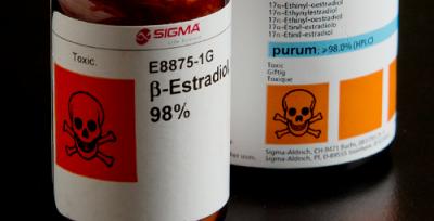 Drugs, Hormones in Sewage