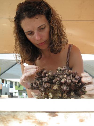 Laetitia Plaisance, Scripps Institution of Oceanography