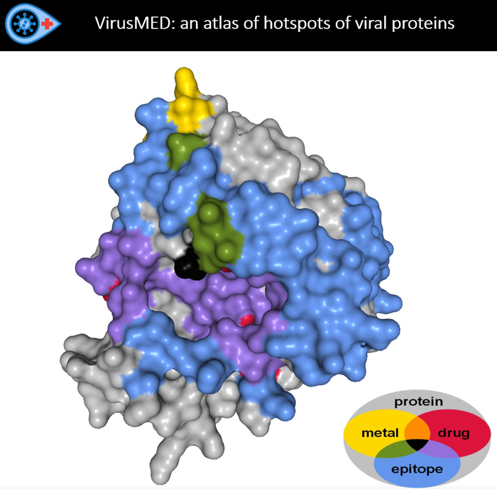 A map to guide scientists to victory over viruses