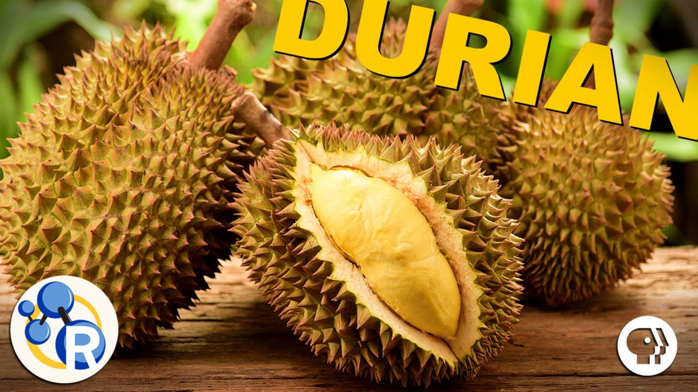 Why Durian is the Smelly 'King of Fruits'