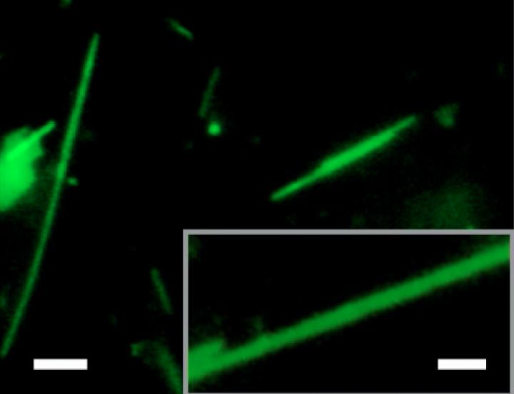 Nanomaterial in tube form