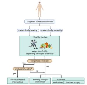 Metabolically healthy obesity: Fat distribution key to assessing the risk of cardiovascular disease