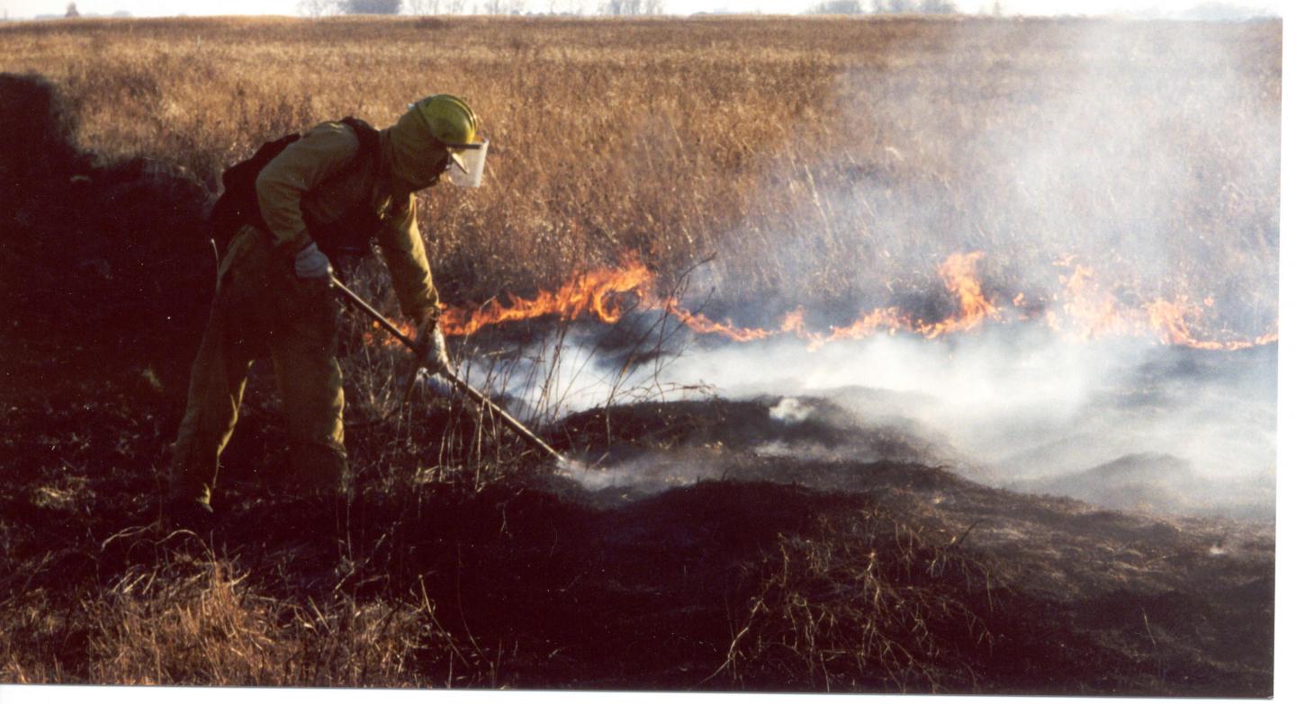 Fires Help Prairies Flourish