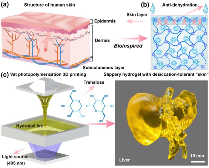 Slippery hydrogel with desiccation-tolerant "skin" for high-precision vat photopolymerization 3D printing