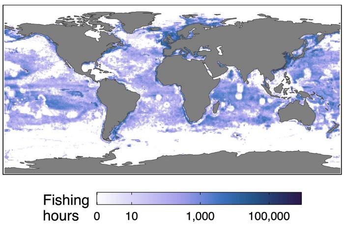 Global Fishing Effort Map