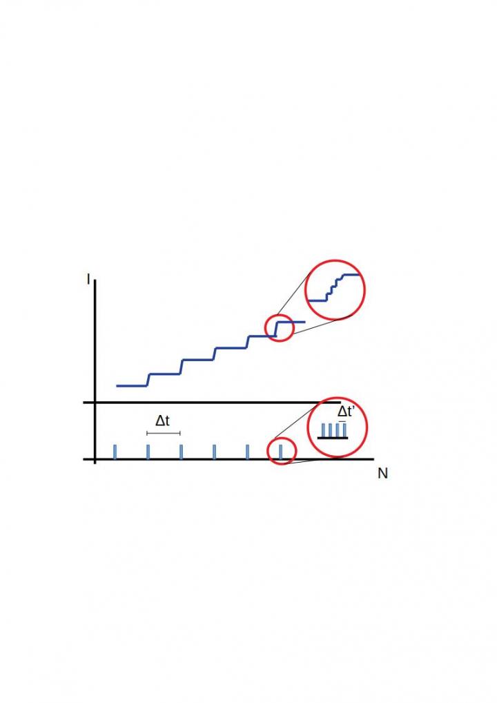 The Model Assumes a Fractal Structure