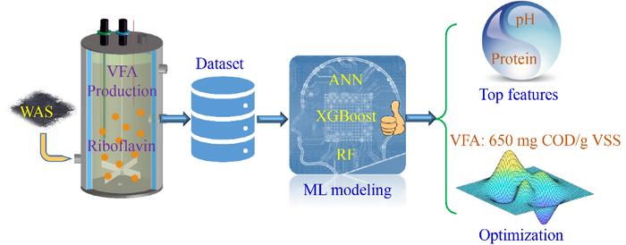 graphical abstract