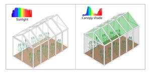 Biomass allocation