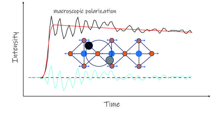 Capturing coherences that preserve an exciton-polaron in a quasi-1D-perovskite lattice