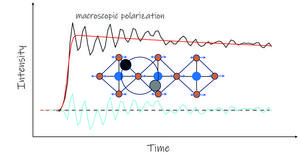 Capturing coherences that preserve an exciton-polaron in a quasi-1D-perovskite lattice