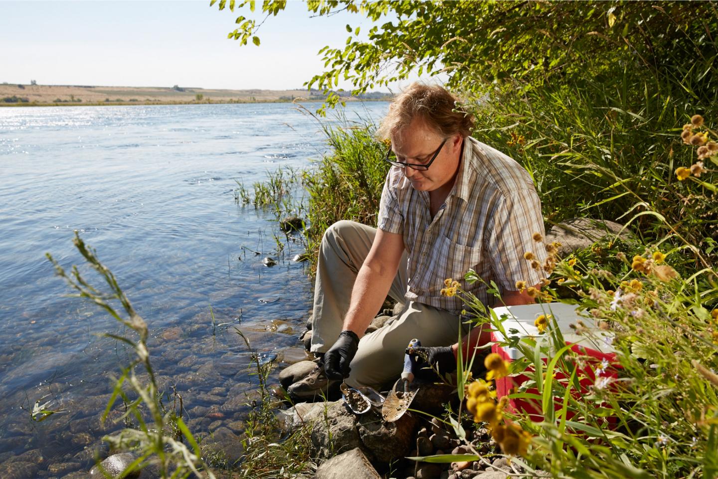 Collecting Sediments