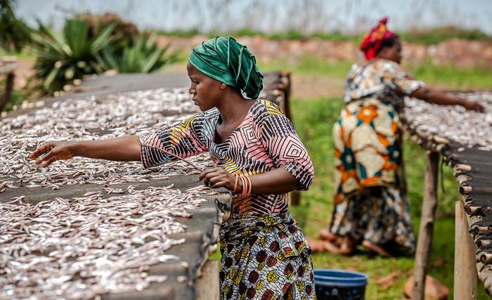 Small-scale fisheries make surprisingly large contributions to societies, economies and nutritious diets around the world.