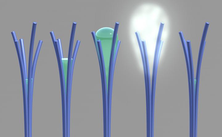 Water-spouting Nanorods