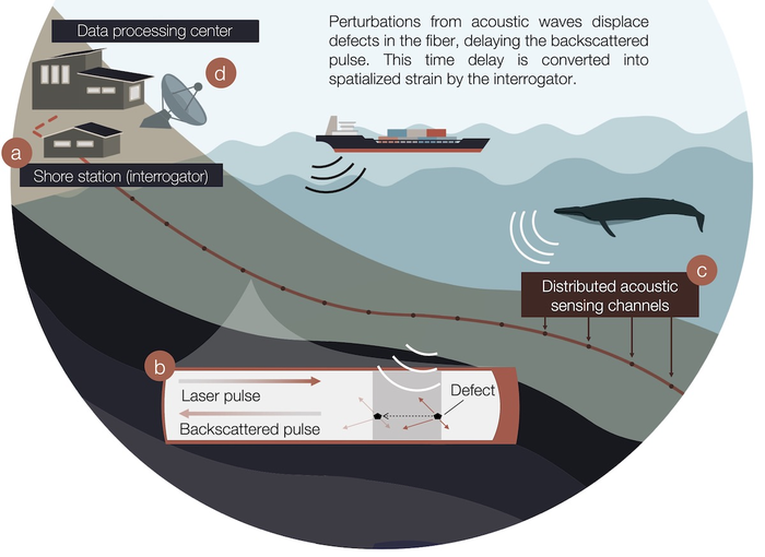 How Distributed Acoustic Sensing works