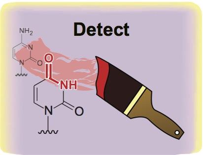 Deciphering DNA's Epigenetic Code to Identify Disease