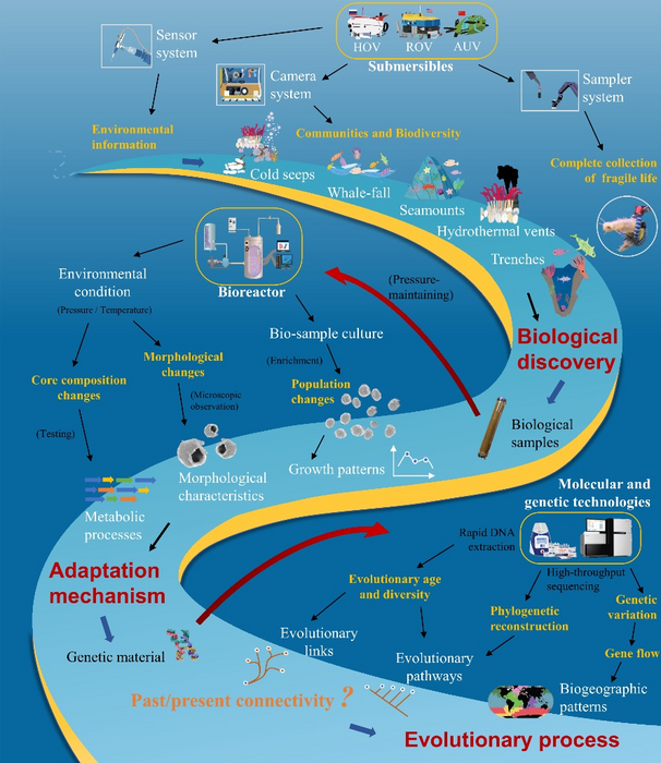 Conceptual diagram of evolution of deep-sea organism research oriented by deep-sea technologies development.