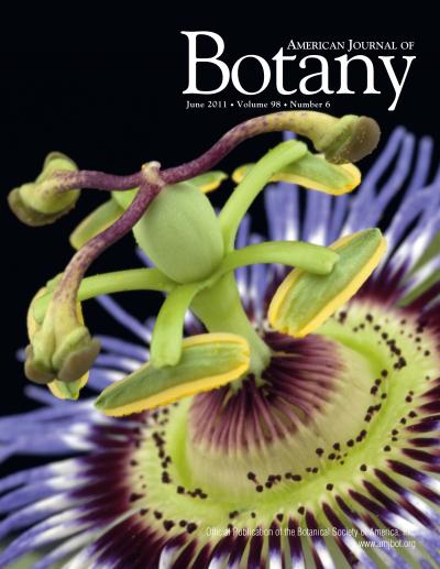 <i>American Journal of Botany</i> June issue cover