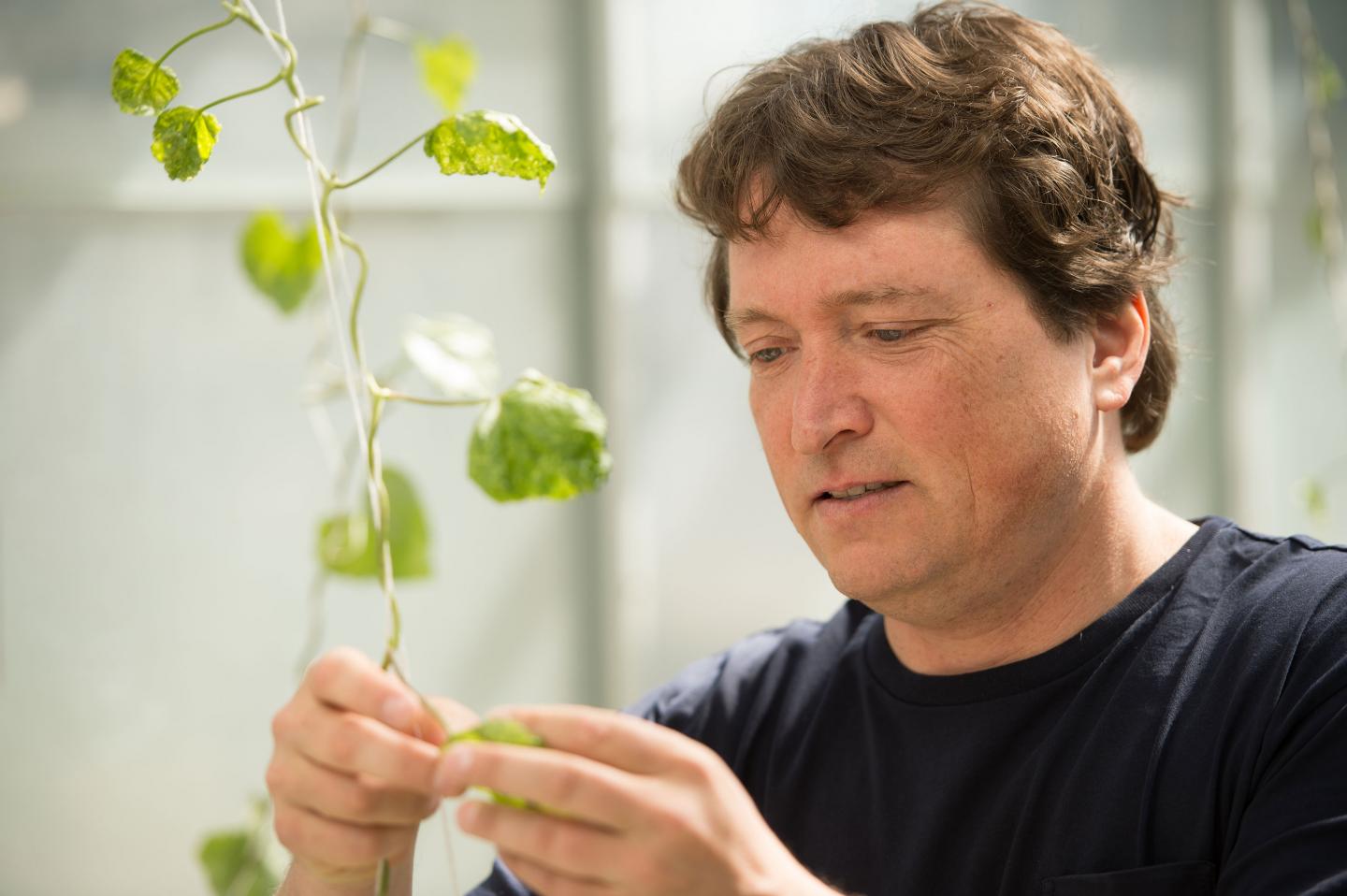 Thousands of Measurements