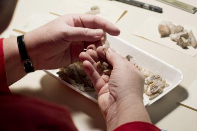 Tracing Human Occupation of the Iringa Region