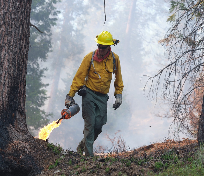 John N. Williams conducts prescribed burn
