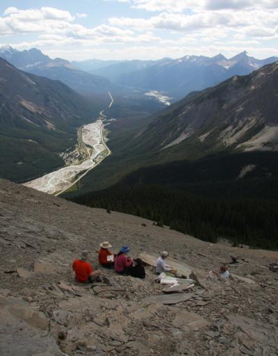 Tegopelte Trackway Fossil Site
