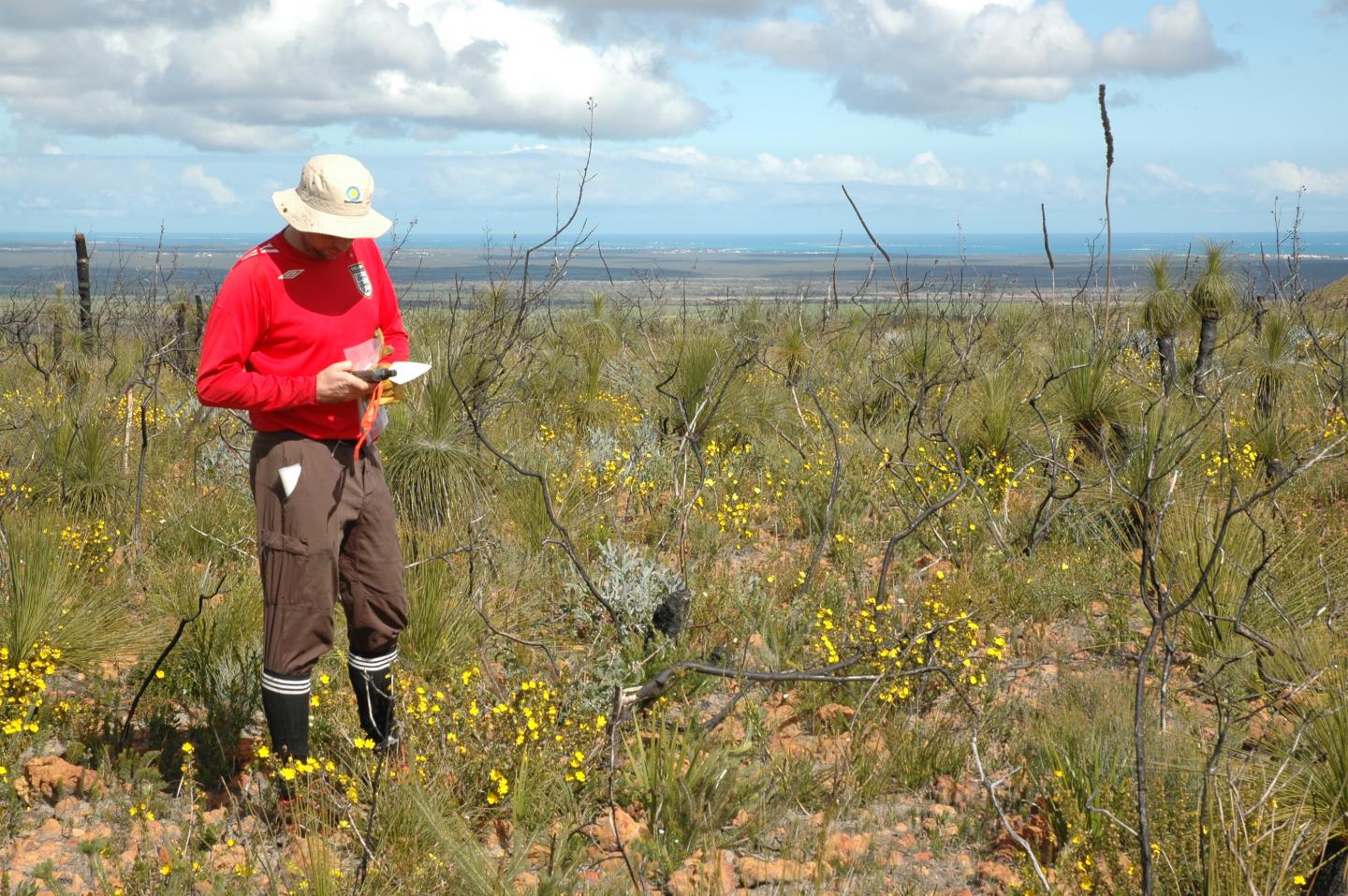 Ben Turner Working on Jurien Dunes