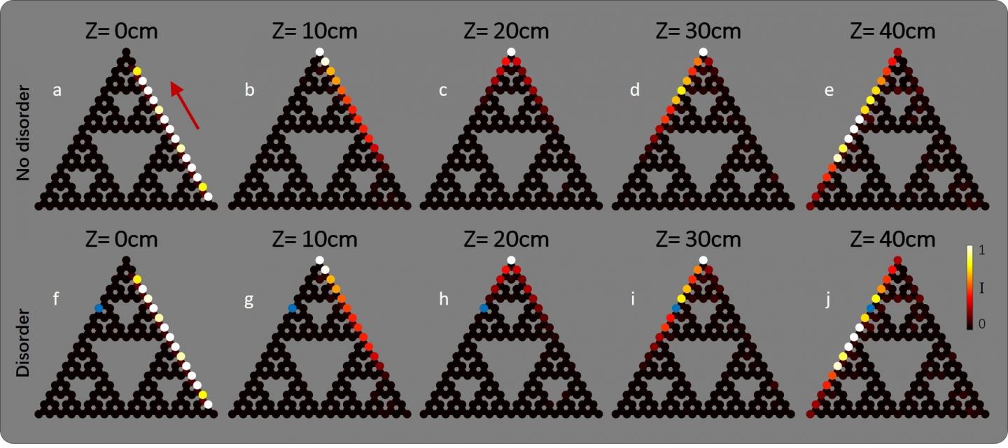 Simulations of An Edge Wavepacket Propagating in a Fractal Lattice