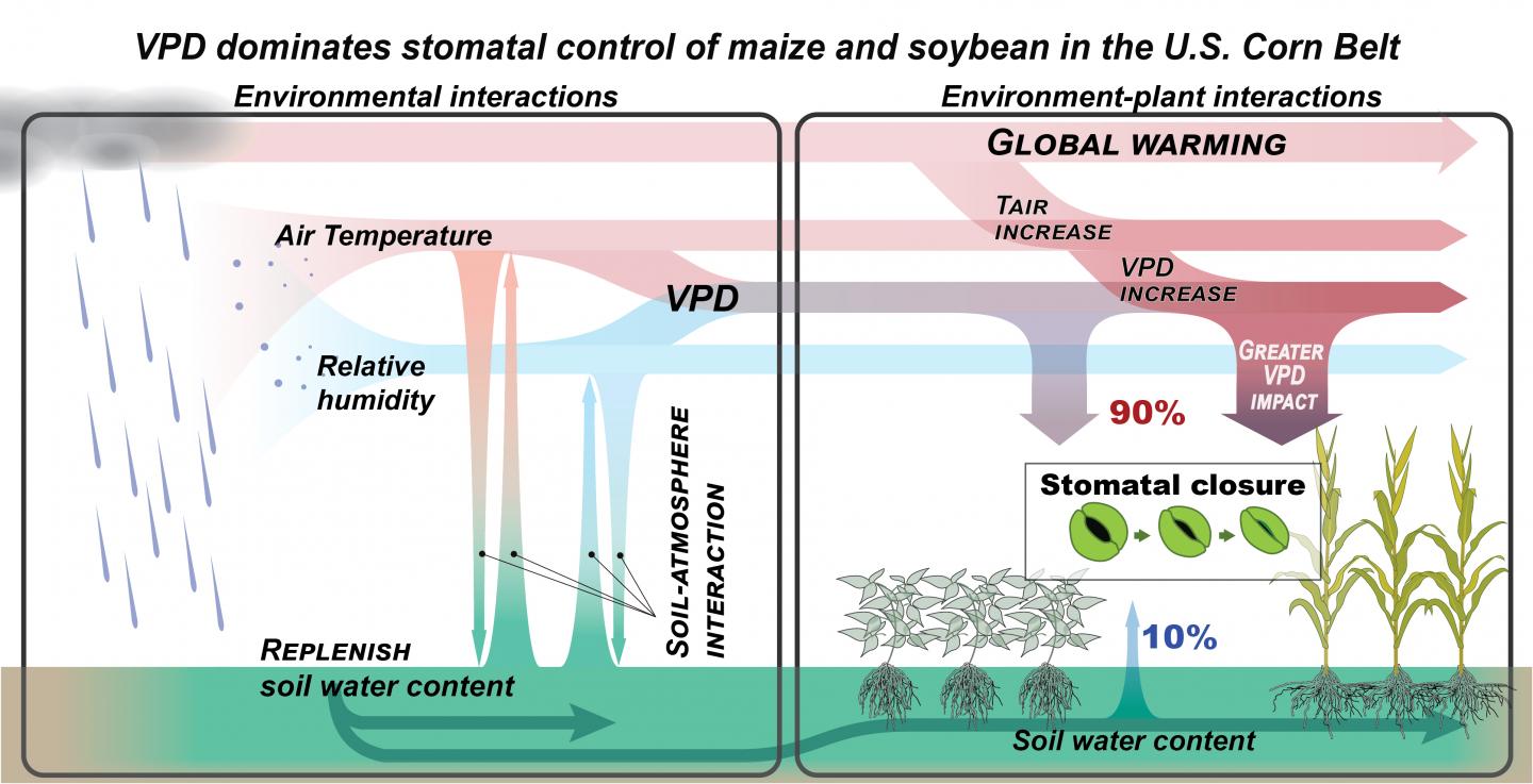 Redefining drought for agriculture