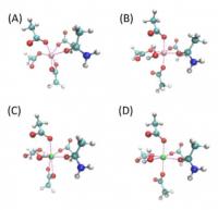 Structures of Model Compounds for Ion-Binding Pockets