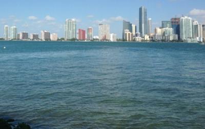 Miami Skyline along Biscayne Bay