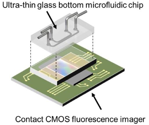 Ultra-thin Glass Bottom Microfluidic Chip
