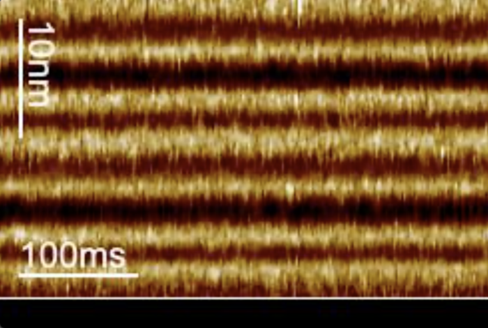 Illuminating a Biological Light Switch