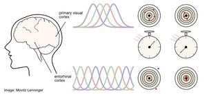 Speed v. accuracy in neurons