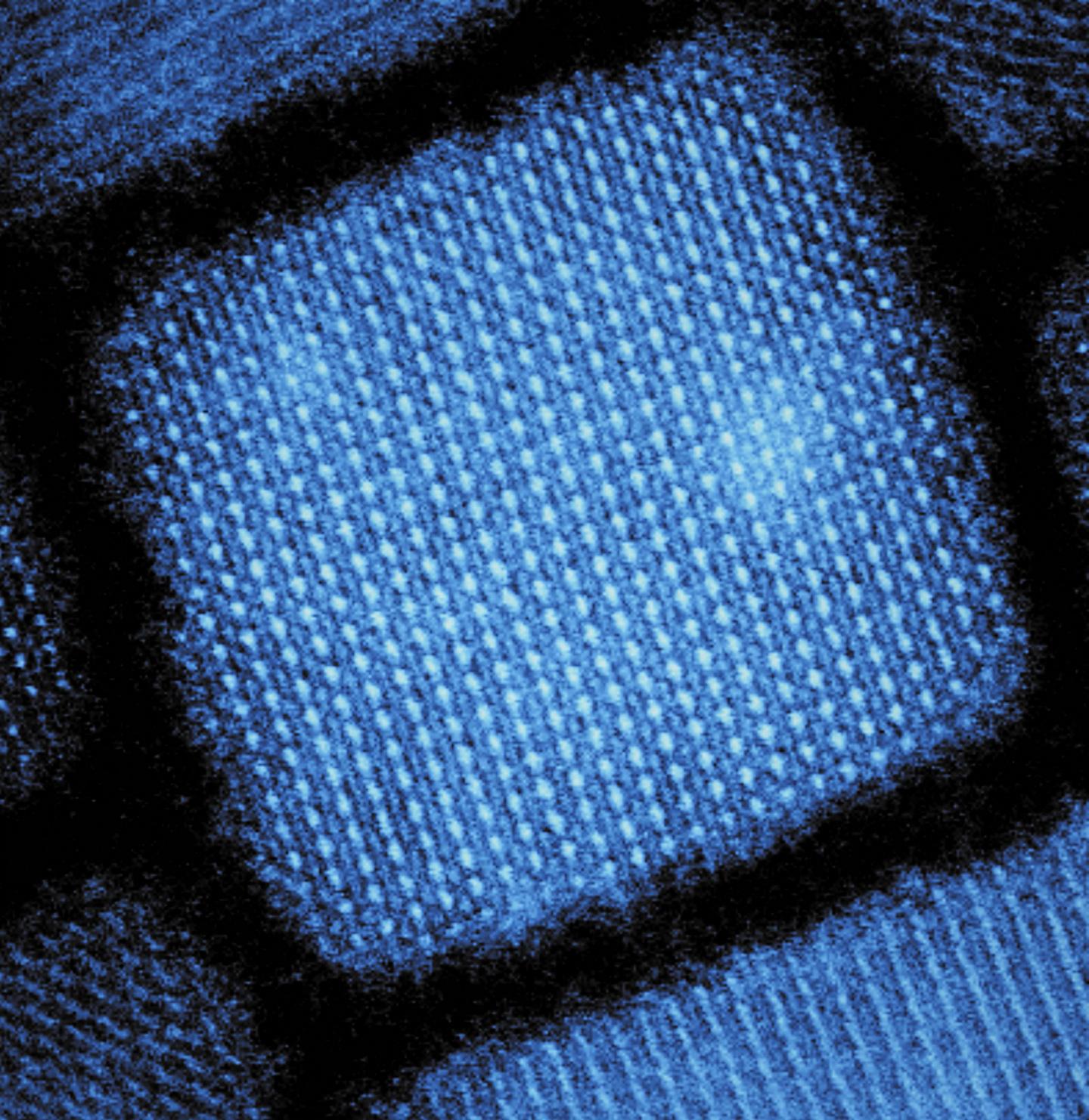 Cesium Lead Bromide Nanocrystal
