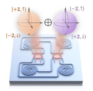 Schematic of the qudit system