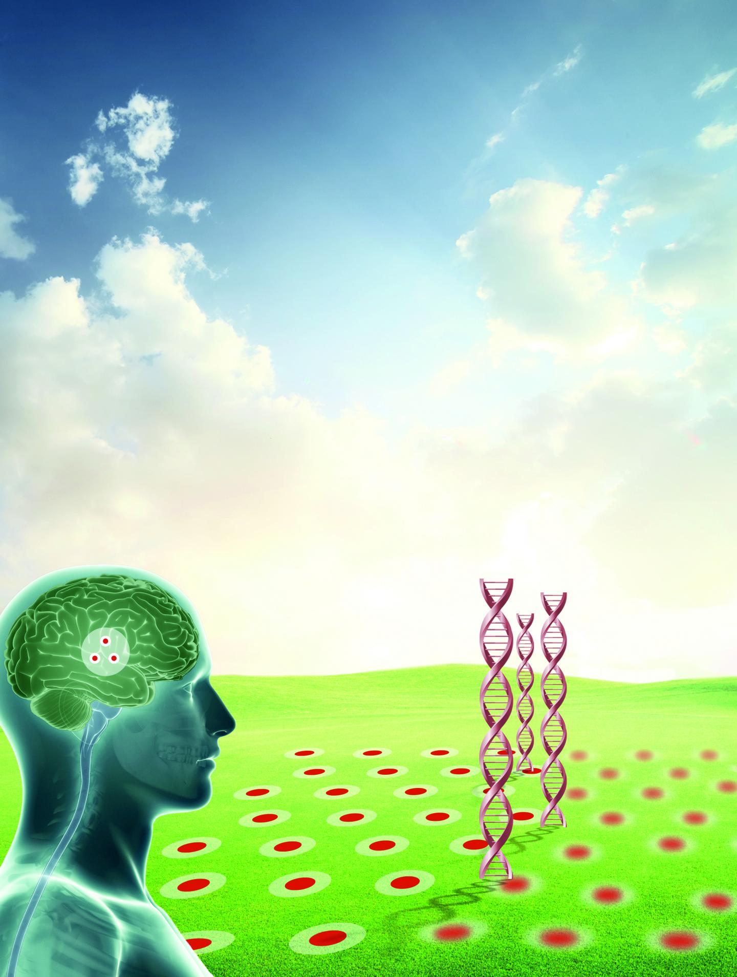 Genetic Risk for Alzheimer's Disease