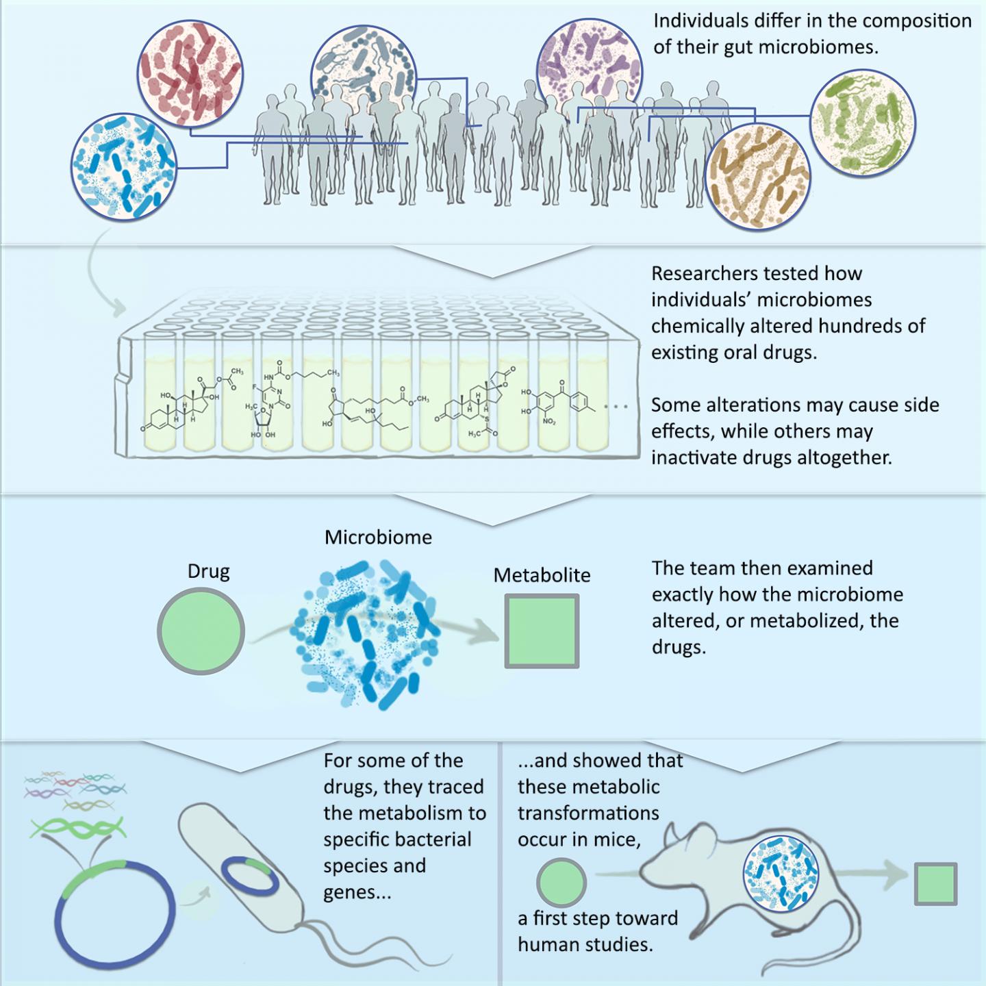 Testing Drugs for Interactions with Microbiome