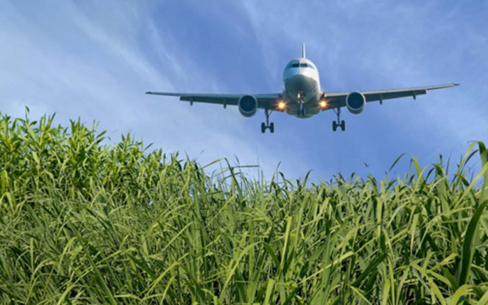 Sustainable biofuel for aviation