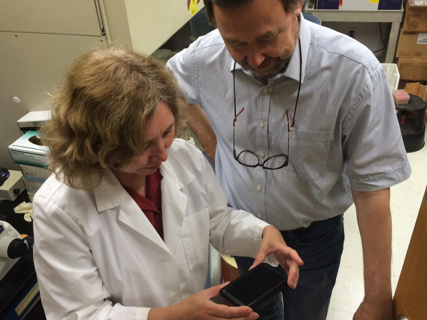 Nadia Anikeeva and Yuri Sykulev, Thomas Jefferson University