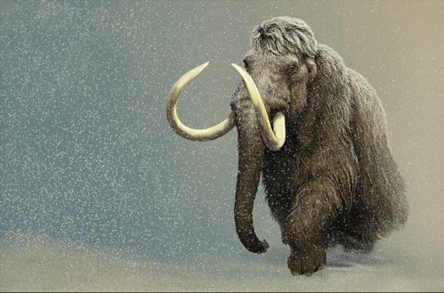Mammoth in Snowstorm