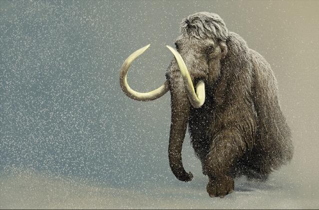 Mammoth in Snowstorm
