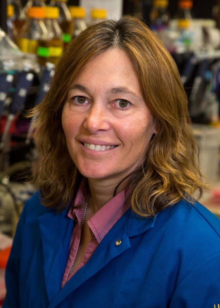 Carla Koehler, University of California - Los Angeles