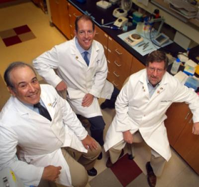 Drs. Carlos Isales, Mark W. Hamrick and William D. Hill, Georgia Health Sciences University