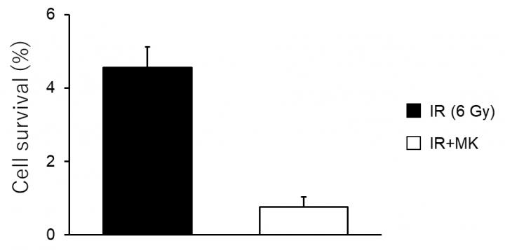 Figure 2. Cell survival after combination of X-ray irradiation with a G2 checkpoint inhibitor