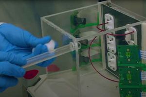 high-tech enclosures for the study of mosquito feeding behavior